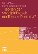 Theorien Der Sozialpadagogik - Ein Theorie-Dilemma?
