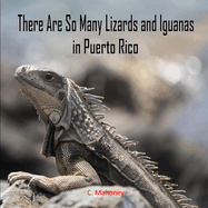 There Are So Many Lizards and Iguanas in Puerto Rico