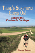 There's something going on!: Walking the Camino de Santiago