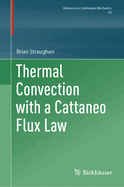 Thermal Convection with a Cattaneo Flux Law