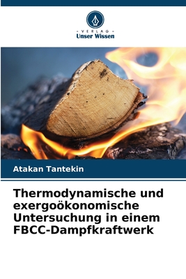 Thermodynamische und exergokonomische Untersuchung in einem FBCC-Dampfkraftwerk - Tantekin, Atakan