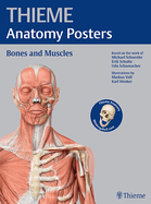 Thieme Anatomy Posters Bones and Muscles, Latin Nomeclature