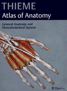 Thieme Atlas of Anatomy: General Anatomy and Musculoskeletal System - Schuenke, Michael, and Ross, Lawrence M, MD, PhD (Editor), and Lamperti, Edward D (Editor)