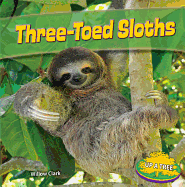 Three-Toed Sloths