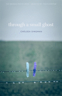 Through a Small Ghost: Poems