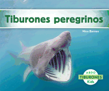 Tiburones Peregrinos (Basking Sharks)