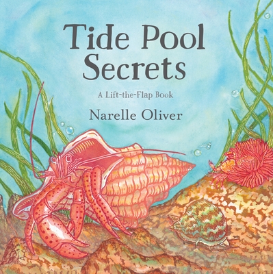 Tide Pool Secrets - 