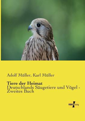 Tiere der Heimat: Deutschlands S?ugetiere und Vgel - Zweites Buch - M?ller, Adolf, and M?ller, Karl