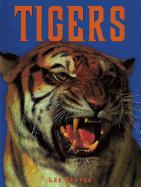 Tigers: A Portrait of the Animal World