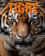 Tigre: Des Informations et des Images Amusantes et Intressantes concernant les Tigre