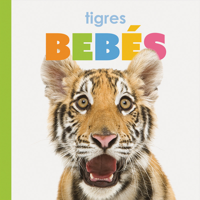 Tigres Bebs - Riggs, Kate