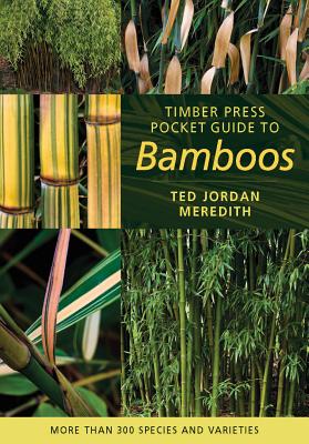 Timber Press Pocket Guide to Bamboos - Meredith, Ted Jordan
