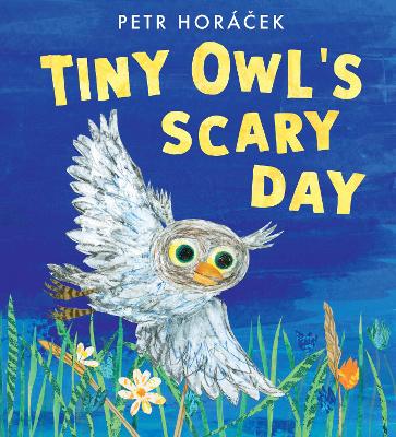 Tiny Owl's Scary Day - 