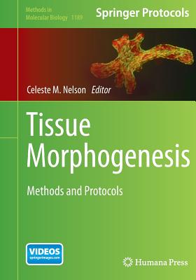 Tissue Morphogenesis: Methods and Protocols - Nelson, Celeste M. (Editor)