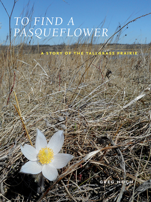 To Find a Pasqueflower: A Story of the Tallgrass Prairie - Hoch, Greg