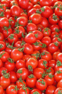 Tomatoes Notebook: Notebook with 150 Lined Pages