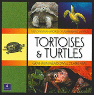 Tortoises & Turtles