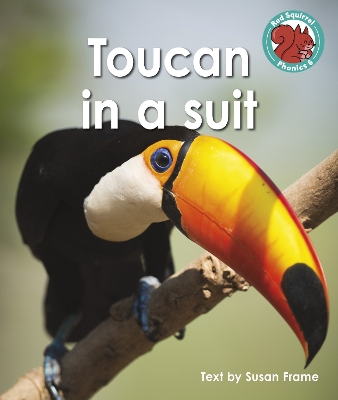 Toucan in a suit - Frame, Susan