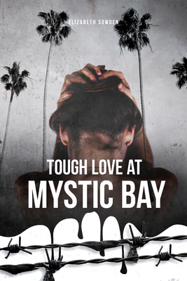 Tough Love at Mystic Bay - Sowden, Elizabeth, and Dimyan, Rebecca (Editor)