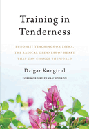 Training in Tenderness: Buddhist Teachings on Tsewa, the Radical Openness of Heart That Can Change the World