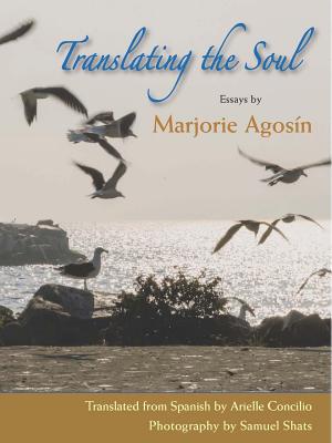 Translating the Soul: Essays - Agosn, Marjorie, and Shats, Samuel (Photographer), and Concilio, Arielle (Translated by)