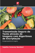 Transmisso Segura de Texto atravs de Imagens com Algoritmos de Encriptao