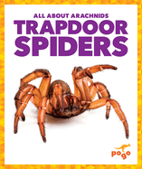 Trapdoor Spiders