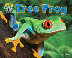 Tree Frog