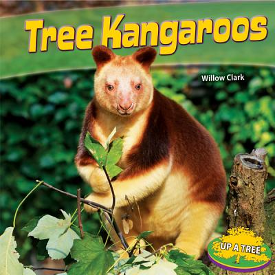 Tree Kangaroos - Clark, Willow