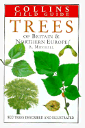 Trees: Britain and Europe