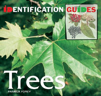 Trees: Identification Guide - Forey, Pamela