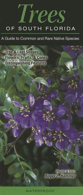 Trees of South Florida: A Guide to Common and Rare Native Species - Hammer, Roger L