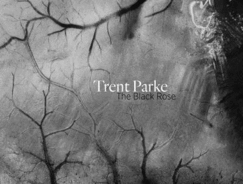 Trent Parke: The Black Rose
