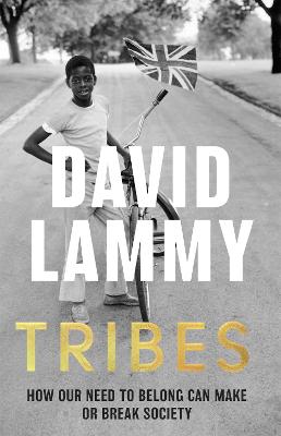 Tribes: A Search for Belonging in a Divided Society - Lammy, David