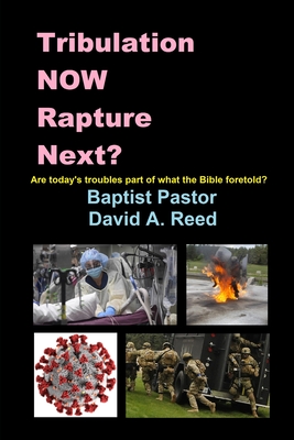 Tribulation NOW Rapture Next?: Are Today's Troubles Part of What the Bible Foretold? - Reed, David a