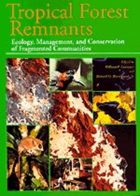 Tropical Forest Remnants: Ecology, Management, and Conservation of Fragmented Communities - Laurance, William F (Editor), and Bierregaard, Richard O (Editor)