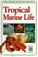 Tropical Marine Life: A Study of Kendo Kata