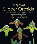 Tropical Slipper Orchids: "Paphiopedilum" & "Phragmipedium" Species & Hybrids