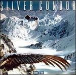 Trouble at Home - Silver Condor