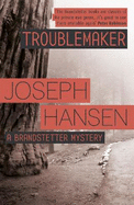 Troublemaker: Dave Brandstetter Investigation 3