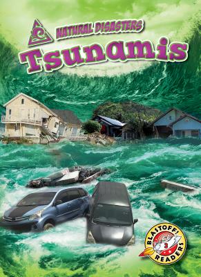 Tsunamis - Rathburn, Betsy