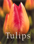 Tulips - Appell, Scott D (Introduction by)