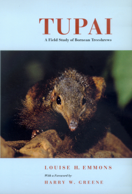 Tupai: A Field Study of Bornean Treeshrews Volume 2 - Emmons, Louise H, and Greene, Harry W (Foreword by)