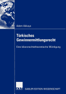 Turkisches Gewinnermittlungsrecht: Eine Bilanzrechtstheoretische Wurdigung