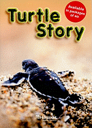 Turtle Story, Above Level Grade 3