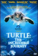 Turtle: The Incredible Journey - Nick Stringer