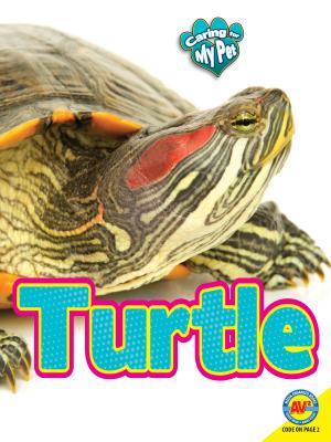 Turtle - Hamilton, Lynn