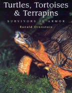 Turtles, Tortoises and Terrapins: Survivors in Armor - Orenstein