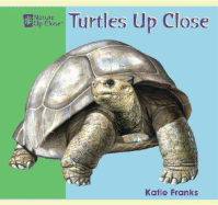 Turtles Up Close