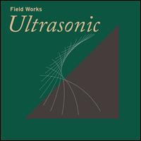 Ultrasonic - Field Works